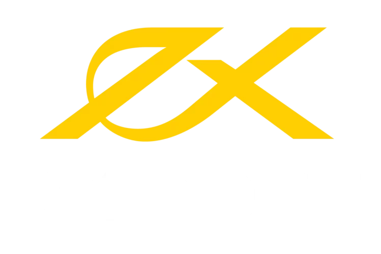 exness logo transparent